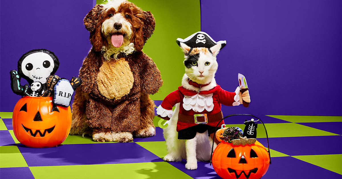 Petco's Bootique Pet Halloween Costumes Shop Is Now Open